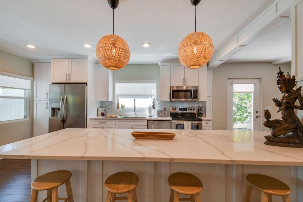Luxury Home In The Heart Of South Tampa & Pool! ภายนอก รูปภาพ